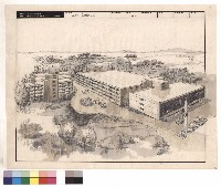 藏品(透視圖)的圖片