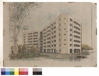 藏品(透視圖)的圖片