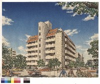 藏品(透視圖)的圖片