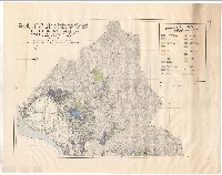 藏品(圖例)的圖片