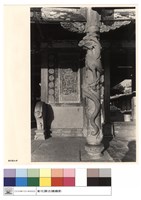 藏品(N/A)的圖片