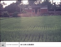 藏品(全景)的圖片