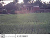 藏品(全景)的圖片