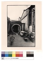 藏品(側面)的圖片