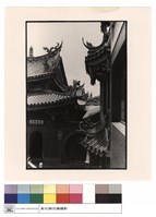 藏品(大殿燕尾)的圖片