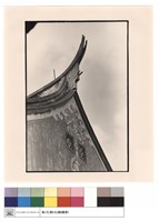 藏品(燕尾(右))的圖片