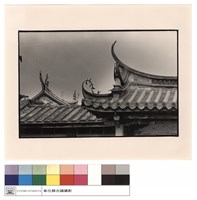 藏品(燕尾(左))的圖片