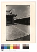 藏品(左廂)的圖片