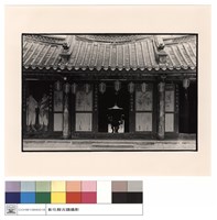 藏品(外觀)的圖片