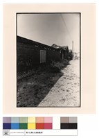 藏品(左廂牆)的圖片