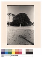 藏品(旗竿台)的圖片