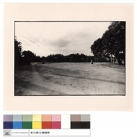 藏品(全景)的圖片