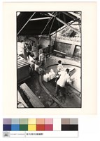 藏品(右俯視)的圖片