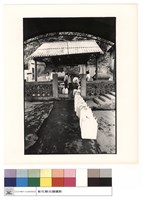 藏品(正視)的圖片