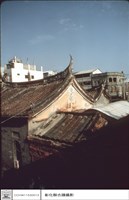 藏品(側觀)的圖片