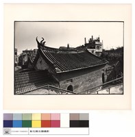 藏品(鳥瞰屋頂)的圖片