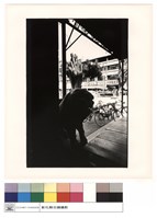 藏品(石獅(右))的圖片