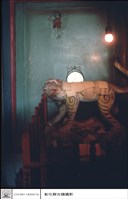 藏品(虎爺)的圖片