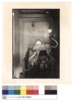 藏品(虎爺)的圖片