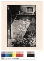 藏品(拜庭)的圖片