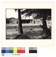 藏品(外觀)的圖片