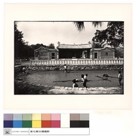 藏品(外觀)的圖片