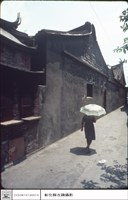 藏品(側面)的圖片