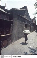 藏品(側面)的圖片