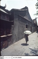 藏品(側面)的圖片