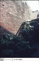 藏品(後院)的圖片