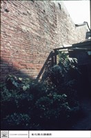 藏品(後院)的圖片