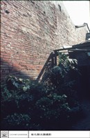 藏品(後院)的圖片