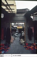 藏品(正面)的圖片