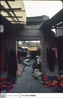 藏品(正面)的圖片