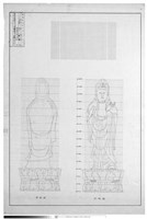 藏品(正、背立視圖)的圖片