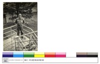 藏品((無圖名))的圖片