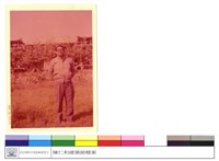 藏品((無圖名))的圖片