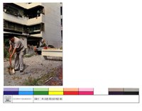 藏品((無圖名))的圖片