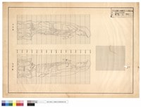 藏品(左,右側視圖)的圖片