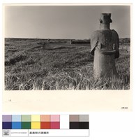 藏品(N/A)的圖片