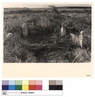 藏品(N/A)的圖片