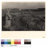 藏品(N/A)的圖片