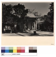 藏品(N/A)的圖片