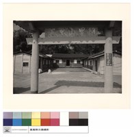 藏品(正面特寫)的圖片