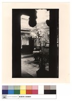 藏品(N/A)的圖片