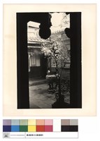 藏品(後殿拜庭)的圖片