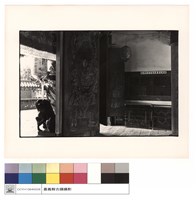 藏品(大門與獅)的圖片