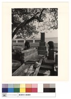 藏品(正面石碑)的圖片