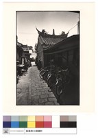 藏品(背觀)的圖片