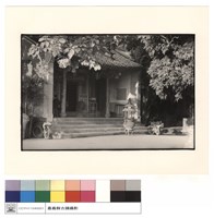 藏品(右側觀)的圖片